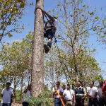 MARENA impulsa la formación en semillas forestales Foto: MARENA impulsa la formación en semillas forestales