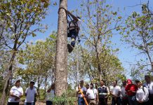 Foto: MARENA impulsa la formación en semillas forestales