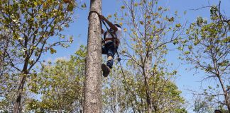 Foto: MARENA impulsa la formación en semillas forestales
