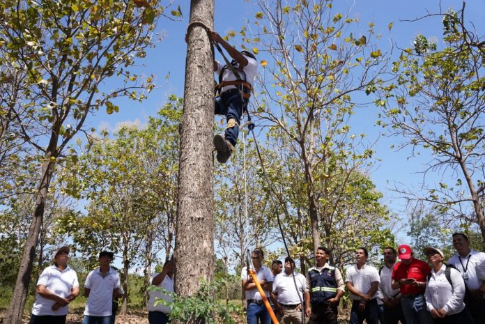 3 Foto: MARENA impulsa la formación en semillas forestales