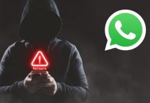Estos son los pasos para evitar «hackeos» en WhatsApp Foto: WhatsApp y la seguridad digital /cortesía