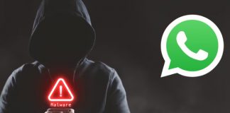 Foto: WhatsApp y la seguridad digital /cortesía