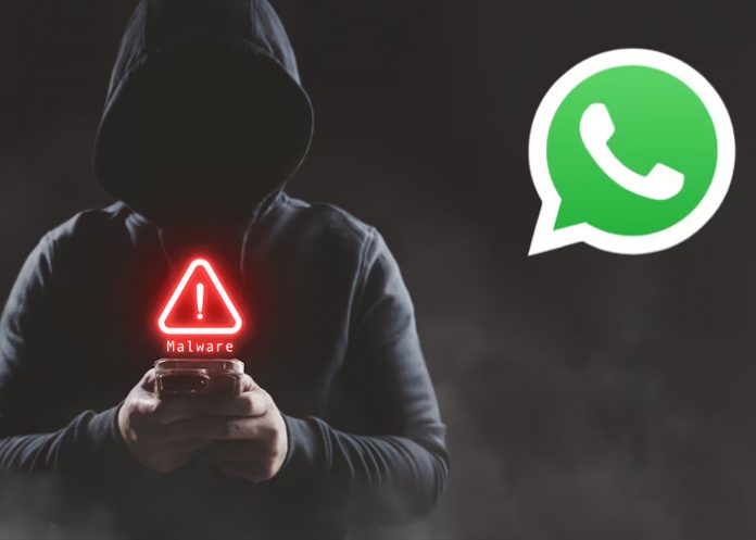 Foto: WhatsApp y la seguridad digital /cortesía