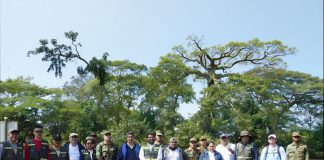 Foto: MARENA libera fauna silvestre en Los Guatuzos