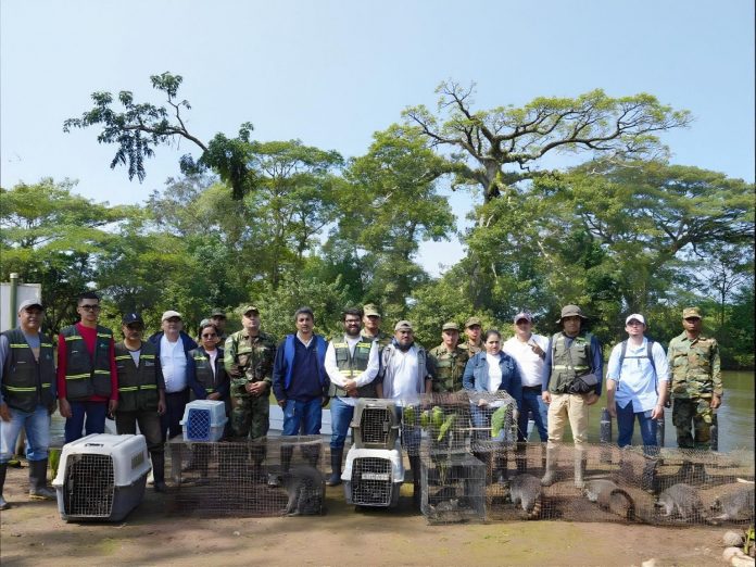 Foto: MARENA libera fauna silvestre en Los Guatuzos