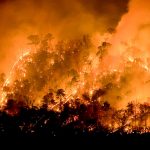Foto: Chile enfrenta 12 incendios forestales /Cortesía