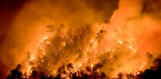 Foto: Chile enfrenta 12 incendios forestales /Cortesía