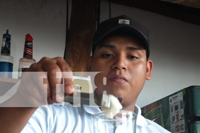 Foto: Joven egresado se convierte en referente en la Isla de Ometepe/TN8 Foto: Joven egresado se convierte en referente en la Isla de Ometepe/TN8