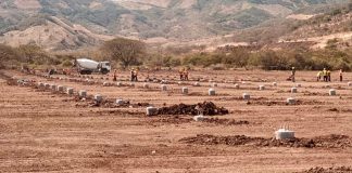 Foto: Moderna Planta Solar en el municipio de San Isidro/Cortesía