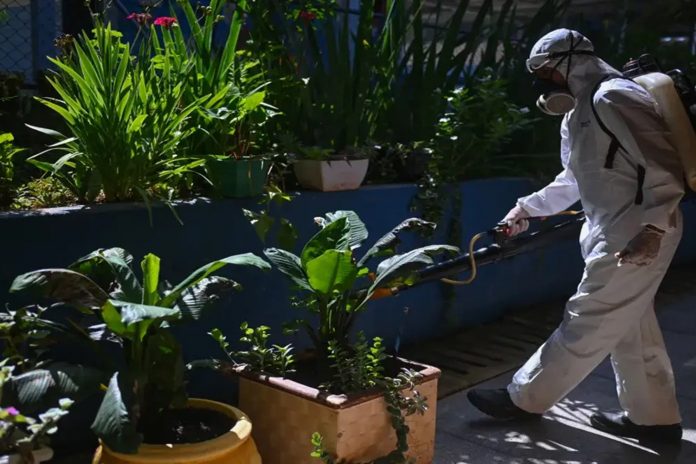 Foto: Emergencia sanitaria en Brasil por rápida propagación del dengue /Cortesía Foto: Emergencia sanitaria en Brasil por rápida propagación del dengue /Cortesía