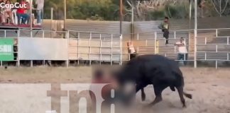 Foto: El conocido Miura mandó al hospital a un improvisado en las fiestas patronales de Diriomo/TN8