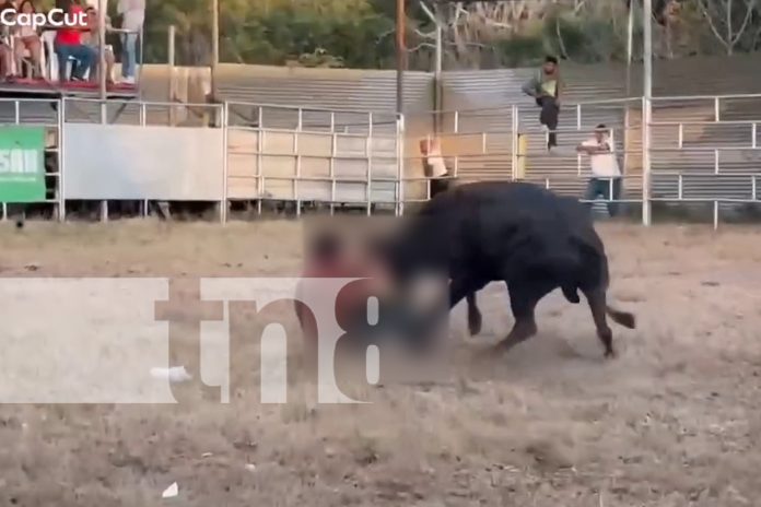 Foto: El conocido Miura mandó al hospital a un improvisado en las fiestas patronales de Diriomo/TN8