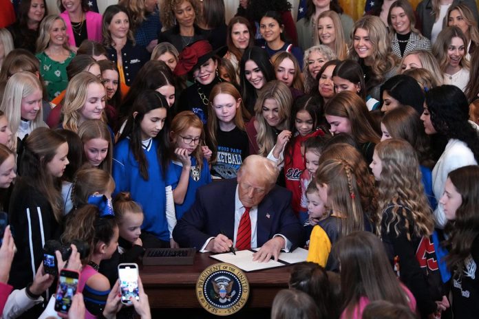 Foto: Trump ataca a la comunidad transgénero /Cortesía Foto: Trump ataca a la comunidad transgénero /Cortesía