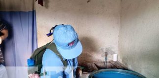 Foto: lucha contra el dengue en barrios de Managua/TN8