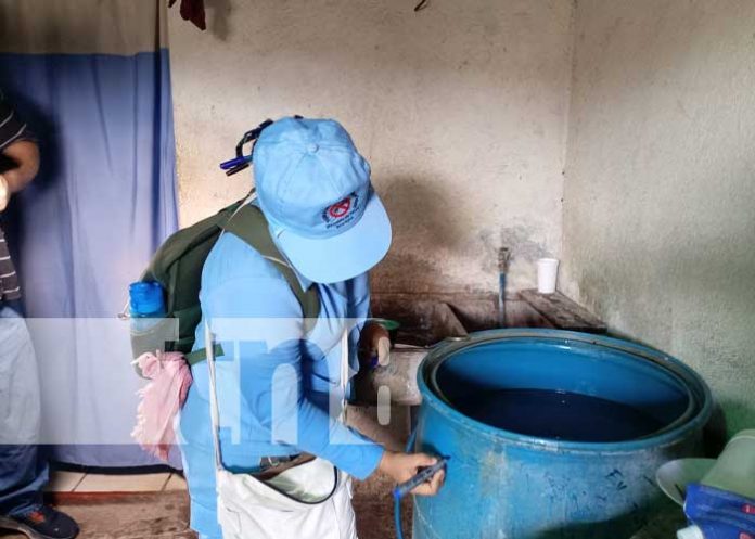 Foto: lucha contra el dengue en barrios de Managua/Tn8 Foto: lucha contra el dengue en barrios de Managua/TN8