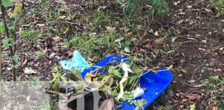 Foto: Hallan sin vida a mujer desaparecida en Boaco /TN8