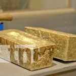 Gran recolección minera: Calibre Mining Corp. celebra su onza número un millón Foto: Onza de oro con Calibre Mining Corp / TN8