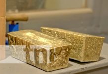 Gran recolección minera: Calibre Mining Corp. celebra su onza número un millón Foto: Onza de oro con Calibre Mining Corp / TN8