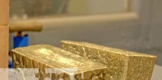 Foto: Onza de oro con Calibre Mining Corp / TN8
