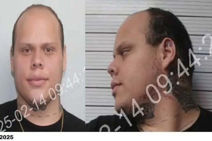 Foto:Policía Nacional Arresta a Supuesto Asesino/cortesía Foto:Policía Nacional Arresta a Supuesto Asesino/cortesía