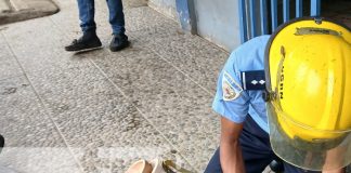 Foto: Hombre muerto en Jalapa, Nueva Segovia / TN8