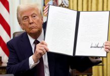 Foto: Diversificación económica frente a aranceles impuestos por Trump/ Cortesía