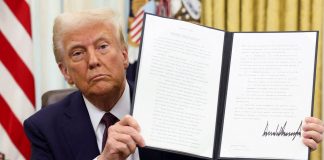 Foto: Diversificación económica frente a aranceles impuestos por Trump/ Cortesía
