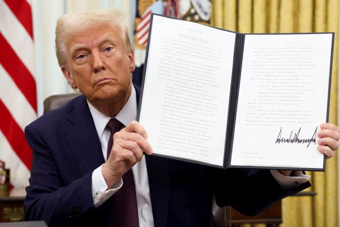 Foto: Diversificación económica frente a aranceles impuestos por Trump/ Cortesía