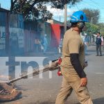 Managua en acción constante: Fumigación y limpieza para combatir el mosquito Foto: Managua en acción constante/TN8