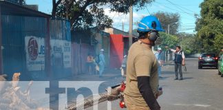 Foto: Managua en acción constante/TN8