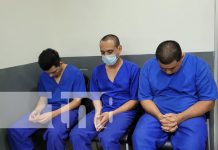 Caen integrantes de banda que falsificaba stickers de rodamiento en Managua Foto: A juicio por falsificación de stickers de rodamiento / TN8