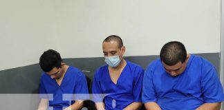 Foto: A juicio por falsificación de stickers de rodamiento / TN8