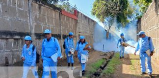 Foto: Fumigación en el barrio Domitila Lugo, Managua / TN8