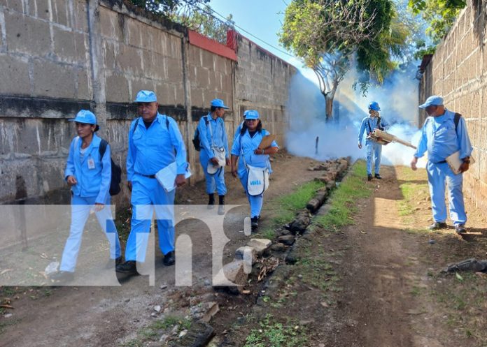 Foto: Fumigación en el barrio Domitila Lugo, Managua / TN8