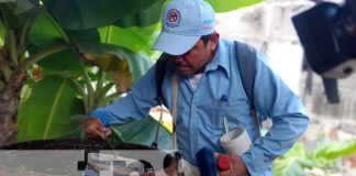 Foto: Fumigación y abatización en Managua / TN8