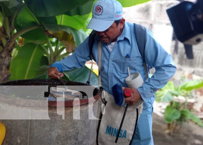 Foto: Fumigación y abatización en Managua / TN8 Foto: Fumigación y abatización en Managua / TN8