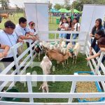 Universidad Nacional Agraria (UNA) da la bienvenida a sus estudiantes de nuevo ingreso Foto: Universidad Nacional Agraria (UNA) / TN8