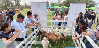 Foto: Universidad Nacional Agraria (UNA) / TN8