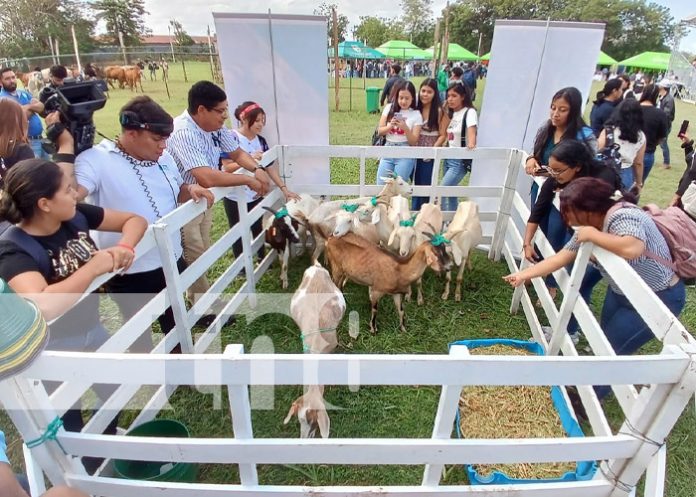 Foto: Universidad Nacional Agraria (UNA) / TN8 Foto: Universidad Nacional Agraria (UNA) / TN8