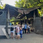 Electrocutado al cortar una fruta: joven muere por trágico incidente en Chinandega Foto: Mortal accidente en Chinandega / TN8