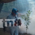 ¡Adiós zancudos! brigadistas siguen en lucha anti epidémica en Las Piedrecitas, Managua Foto: Managua se levantan contra los zancudos/TN8
