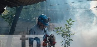 Foto: Managua se levantan contra los zancudos/TN8