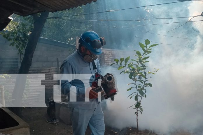 Foto:  Managua se levantan contra los zancudos/TN8 Foto: Managua se levantan contra los zancudos/TN8