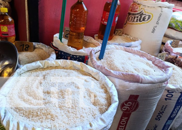 Foto: Sondeo de los precios en la canasta básica / TN8 Foto: Sondeo de los precios en la canasta básica / TN8