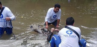 Foto: Muerte por sumersión en Las Carmelitas, Jinotega / TN8