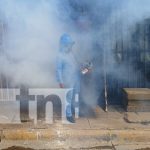 Patios y pilas limpias: Fumigación y abatización en el barrio Laureano Mairena, Managua Foto: Fumigación y abatización por Managua / TN8