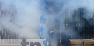 Foto: Fumigación y abatización por Managua / TN8