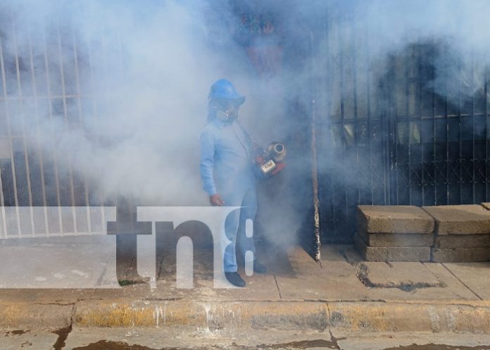 Foto: Fumigación y abatización por Managua / TN8