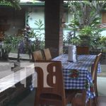 Disfrutá de la oferta turística para los enamorados en la hermosa Isla de Ometepe Foto: Ofertas para enamorados en Ometepe / TN8