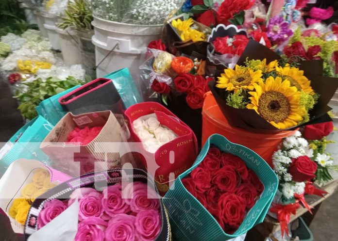 Foto: Muchos regalos para este 14 de febrero / TN8